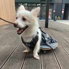 deryep pet scooter wheelchair side view shows easy access and rear-leg support for mobility