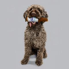 design LAB, Inc. Busch Light toy ideal for medium to large dogs during play