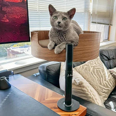 Desk Nest Cat Bed sturdy-metal-post ensures stable support for active or larger cats.