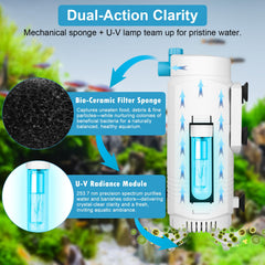 DESUMG aquarium filter aeration and water flow support thriving environments.