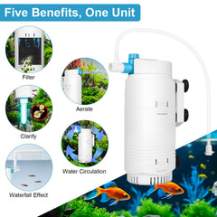 DESUMG sponge filtration emphasizes biological cleaning and crystal-clear visibility.
