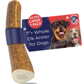 Devil Dog Pet Co elk antler 7 inch extralarge close up for durable chewing and boredom relief.
