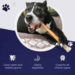 Devil Dog Pet Co long-lasting durable-texture chew engages dogs