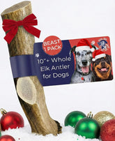 Devil Dog Elk Antlers Beast 10plus close-up texture for a durable chew.