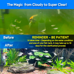 Devopet algae-clean lamp in use image highlighting crystal-clear water after treatment.