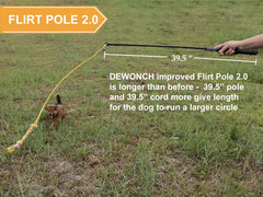 Dewonch Flirt Pole dog fetch play boosts stamina and focus during games