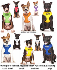 Dexil Adopt Me yellow front D-ring for secure leash control.