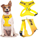 Dexil Adopt Me yellow vest front view emphasizes high visibility for safer walks.