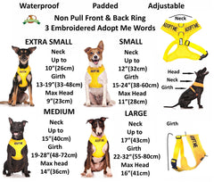 Dexil Adopt Me yellow vest side D-ring highlights no-pull harness option.