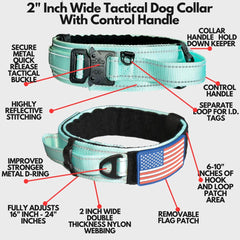 DEZIZEUSK9 heavy-duty buckle collar for secure, quick-release fastening