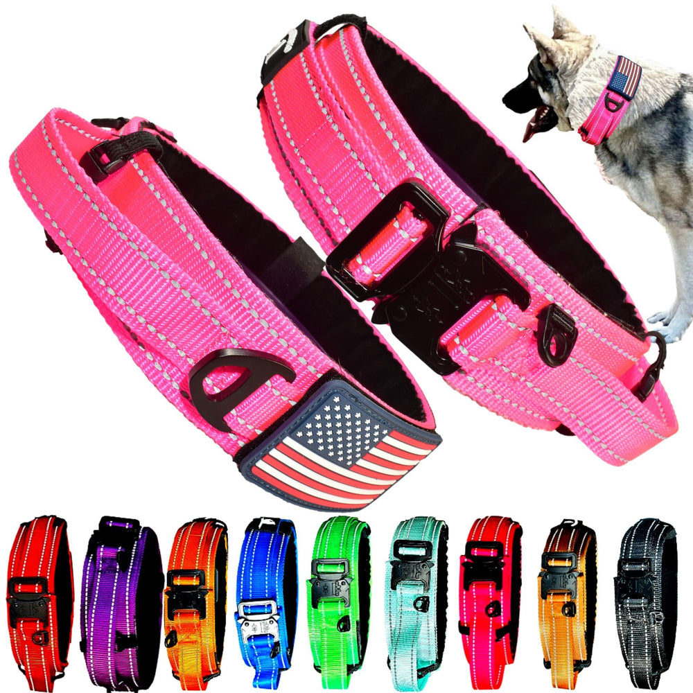 DEZIZEUSK9 tactical-collar on dog shows the rugged 2-inch width for daily wear