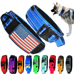 DEZIZEUSK9 tactical collar with handle close-up for confident control during walks