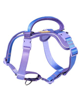 DF Freedom No Pull Harness front view rainbow shows comfortable no-choke design for easy walks.