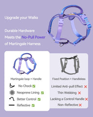 DF Freedom Reflective trim ensures high-visibility safety on early morning or evening walks.