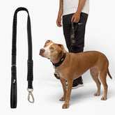 DF Co Bungee Leash black handle provides comfortable control in all weather.