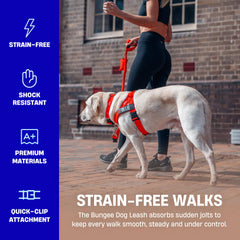 DF Co Bungee Leash D-ring adds a convenient place for bags or keys.
