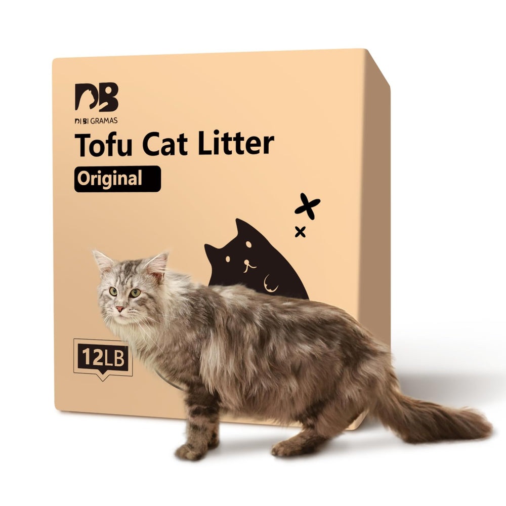 DI BI GRAMAS Cat Litter 12lb pack—dust-free setup for cleaner air.