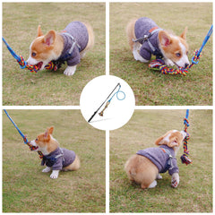 DIBBATU teaser wand focuses on playful chasing during outdoor sessions.