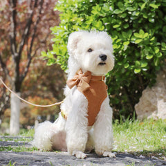 Didog adjustable collar with bow provides secure fit and cute style.