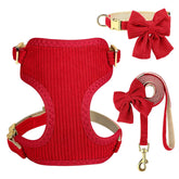 Didog cute small dog harness with bowtie in red for daily walks and adorable photos.