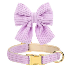 Didog leash bowtie closeup in purple highlights fashion forward detail for outings.