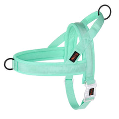 Didog No Pull Harness front D-ring green helps control pulling during training sessions.