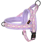 Didog no-pull harness front D-ring for controlled walks