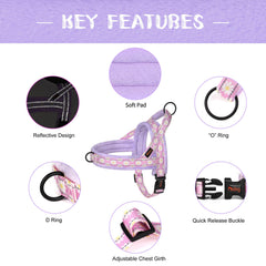 Didog no-pull harness quick-release buckle enables fast on/off