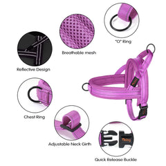 Didog No Pull Harness reflective stripe aids safe night walks