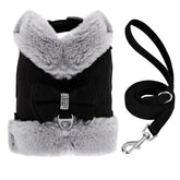 Didog small dog harness with bow tie, black, front view for stylish, safe walks.