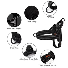 Didog quick-fit harness clip for easy on-off during walks.