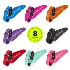 Didog blue padded interior close-up highlights breathable comfort for necks