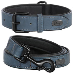 Didog soft padded leather collar blue for comfortable daily walks.