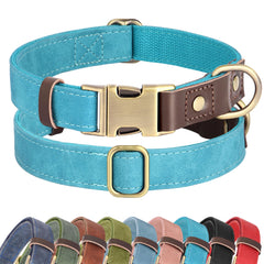 Didog soft PU leather dog collar light blue close-up showing durable daily wear