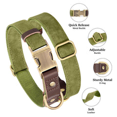 Didog olive-green collar with leash attachment and rust-resistant hardware for daily walks