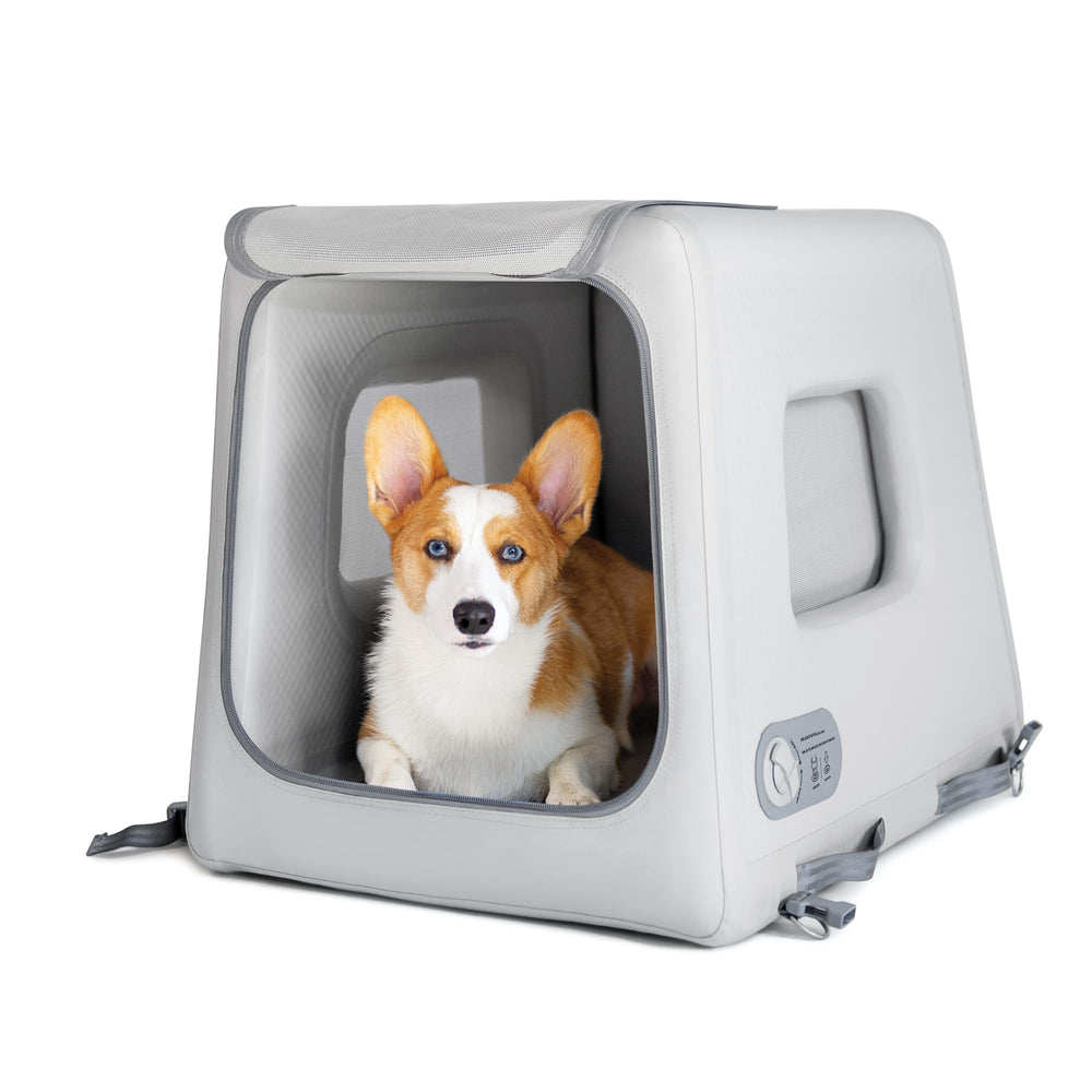 Diggs Enventur inflatable crate setup for easy travel readiness.