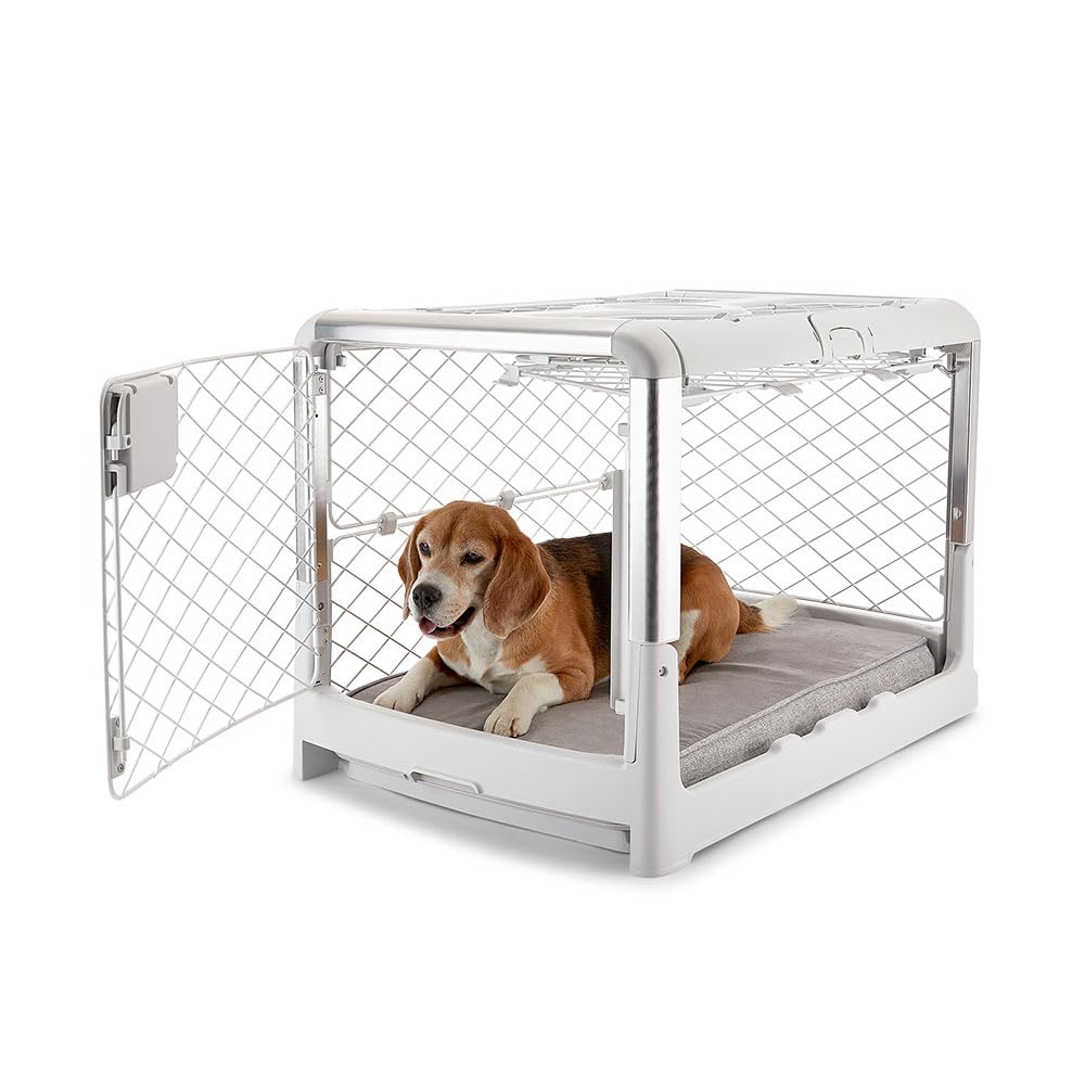 Diggs Revol collapsible dog crate assembly shows compact setup for easy transport.