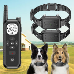 DILEASIR wireless dog fence boundary setup provides wire-free play area.