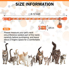 DILLYBUD cat collar pumpkin-pattern adds seasonal charm while lightweight for pets.