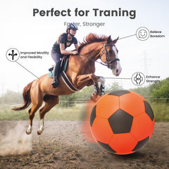 Diman Herding Ball on grass outdoors reduces boredom through active play.