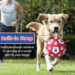 Diman Premium Dog Ball hexagon texture aids reliable pickup during fetch