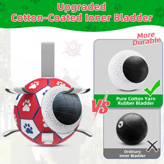 Diman premium large dog ball nine straps visible for easy pickup