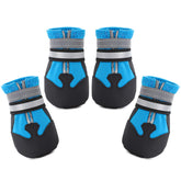 Dimicoo water-resistant dog boots on a dog, protecting paws during outdoor adventures.