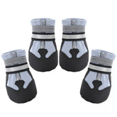 Dimicoo water-resistant dog boots protect paws on snowy winter pavement.