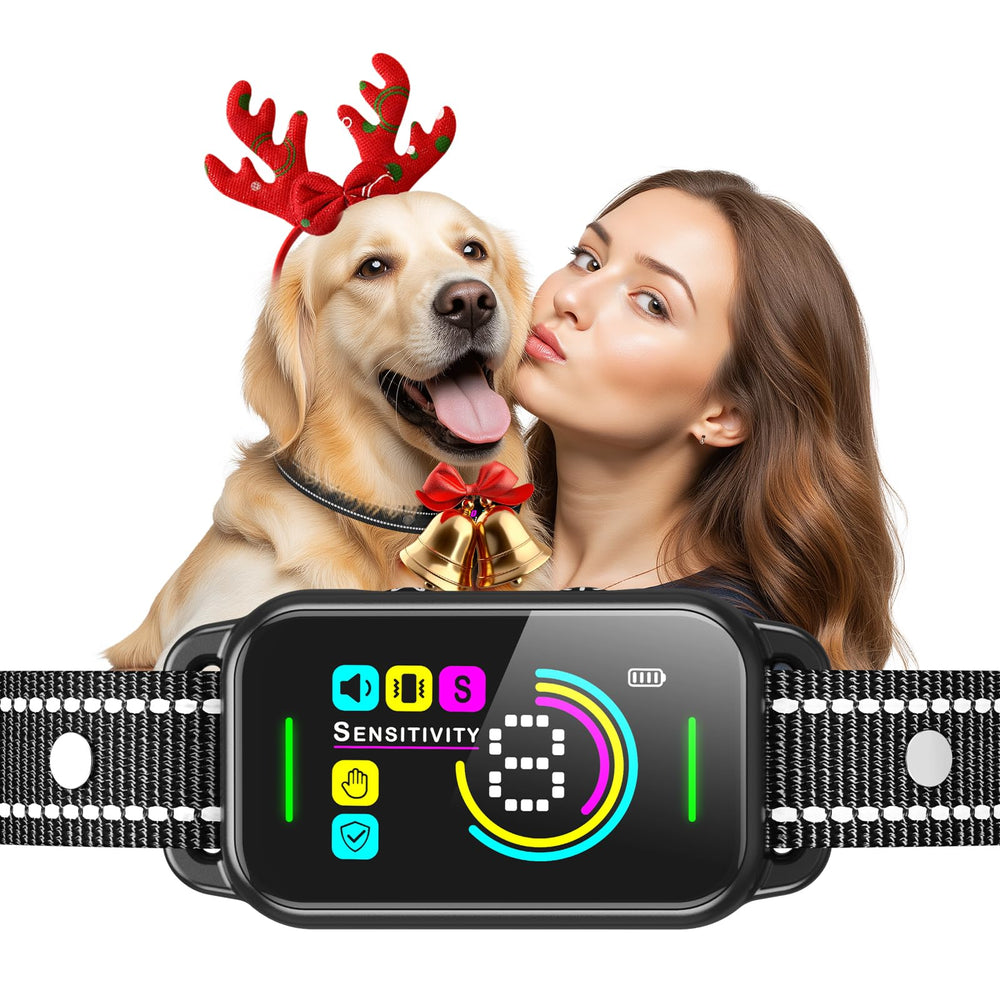 DINJOO dog bark collar front view highlights quick training with smart AI.