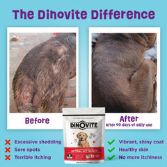 Dinovite dog food toppers pack shows convenient toppers to boost meals and palatability.