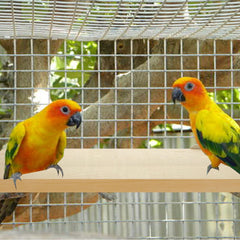 DIRBUY rectangle platform perch large size suitable for multiple birds in one cage.