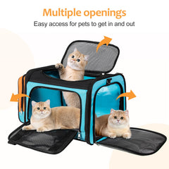 Discala safety buckles securing carrier to car seat for safer journeys
