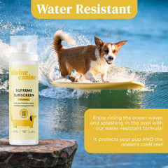 Divine Canine being applied on a white-coated dog shows quick rub-in.