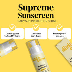 Divine Canine sunscreen pump near cap shows water resistance for beach days.